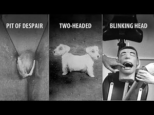 Most Disturbing Experiments