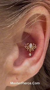 ✨ Check out this stunning conch piercing, 14k Lotus with a beautiful...