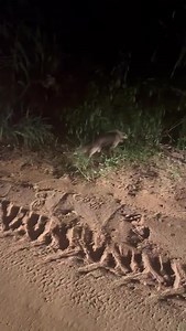 2.5K views · 88 reactions | BOAS NOTÍCIAS DA REGIÃO POLÍCIA MILITAR...