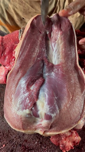 Cow's tongue slicing skills #shots #youtubeshorts #meat