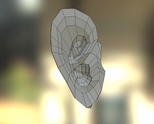 Ear - 3D model by Jorey (@jorey.dixon123)