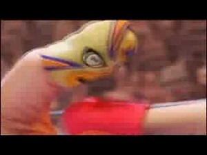 Thumb Wrestling Federation Sticker Collection