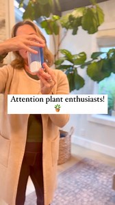 1.1K views · 11 reactions | Attention plant enthusiasts!  Wondercide Brand Ambassador @solgracehome found the perfect solution to those little gnats that are always buzzing around. Put down the swatters and sprays and plug in Wondercide’s Flying Insect Trap. It works 24/7 on the bugs so you don’t have to. Get yours here: https://www.wondercide.com/products/flying-insect-trap #flyinginsects #bugs #flyinginsecttrap #plants #plantlife | Wondercide | Facebook