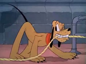 Donald Duck, Pluto - Window Cleaners  (1940)