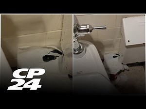 Hidden camera found inside Hamilton Tim Hortons bathroom