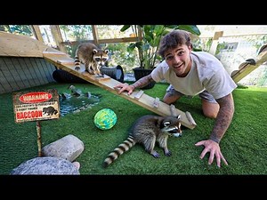 Rescuing BABY RACCOONS for My FARM!!