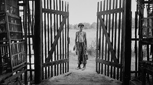 Recensie The Painted Bird (2019)