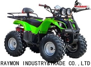 [Hot Item] Made in Raymon Factory Dune Buggy 150cc/200cc Quad Bike 250cc ATV for Adults