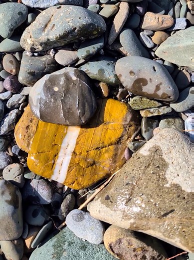 Finding Poppy Jasper on a California Gravel Bar