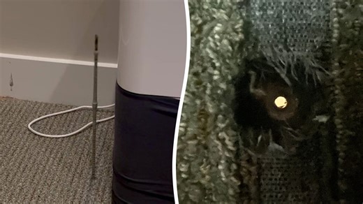 Worker drills through bedroom floor just feet from sleeping tenant