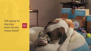 4.6M views · 5.9K reactions | Wells Fargo on Reels | Facebook