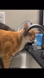 15K views · 555 reactions | ได้กินกี่โมงงง | รักนะสัตว์โลก | Facebook