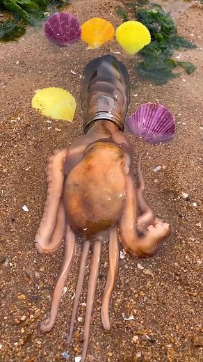 Ok kaayo #highlightseveryonefollowers2025 | Cainta Bacayo Jema