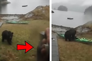 Woman Hilariously Pleads for Bear to Stop Destroying Her Kayak