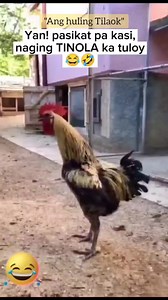 842K views · 430 reactions | Ang huling tilaok #comedyreels...