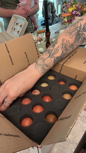 Faster Egg Shipping: Testing Egg Foam Shippers for Breeders