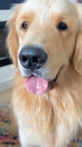 See what the boys have been up to lately, including a shopping trip. | Sterling Newton