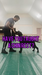 1.2K views · 91 reactions | A chin rest is a great skill to teach any...