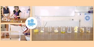 GCSE Biology: Food Tests for Starch Required Practical