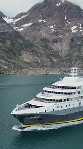 See penguins in Antarctica and polar bears in the Arctic on an all-inclusive expedition with guided wildlife encounters daily | Quark Expeditions