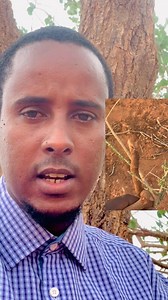 26K views · 862 reactions | Igala soxirir WhatsApp number 907 018 920 | Abdirahman Jilbis | Facebook