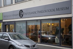 冰岛阴茎博物馆 - Icelandic Times