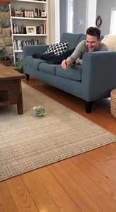 Kittens' Playtime Fun! Watch as kittens and a man enjoy a playful toy adventure! #fblifestyle #AI Generated using Kling AI . . . (For entertainment purposes only. Consult professionals if guidance on activities is presented. No brand affiliation is implied if any are shown. If inspired by true events, creative adaptations may be included. Content may include public footage.) | Fabiosa Hearty