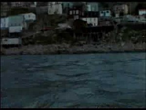 Orca Killer Whale 1977