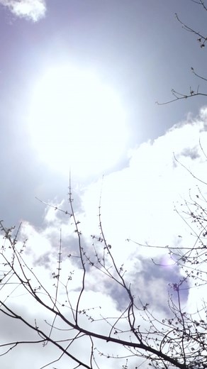 4.3K views · 18 reactions | Paignton Zoo is celebrating its centenary year with a very special offer:  free entry for children during the summer holidays. The offer will run from Saturday 22nd July to Sunday 3rd September, and will allow free entry for up to two children under 16 with each full price adult/senior ticket purchased. 煉 #paigntonzoo | Beverley Holidays | Facebook