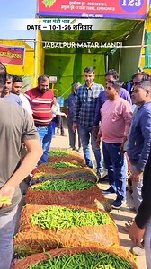 32K views · 870 reactions | 﫛Jabalpur Matar Mandi Bhav Date 10/01/2026 शनिवार मटर आज का भाव | MadhyaPradesh Matar Rate Update . . . . . #jabalpurmatarMandibhav #MadhyaPradesh #matar_mandi_bhav #matar_bhav_update #mandibhav #जबलपुरमंडीभाव #pearate #MadhyaPradesh #todaymandirate #जबलपुरमटरमंडी #mandirate #viralreels ------------------------------------- | The Advance Agriculture | Facebook