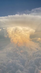 1.8K views · 182 reactions | Lilly Goodman on Reels | Facebook