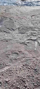 2.8K views · 41 reactions | What's missing from.our video? One of Corfu's many fabulous beaches. This one in Arillas located on the North West Coast, flat, soft sand, shallow entry to the sea and perfect for families ❤️ One of over 150+ beaches to find and explore, including Blue flag and ones offerimg disability acces including SeaTrac. Find your next paradise www.corfutourist.com/corfu-beaches Corfu Travel Guide by Corfu Tourist | Corfu Tourist | Facebook