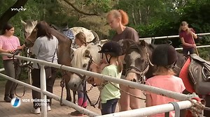 32K views · 403 reactions | Ferien auf dem Reiterhof - das ist für viele Kinder das Sommer-Highlight schlechthin. Auch auf dem Reiterhof Oberpörlitz sind jetzt viele junge Pferde­freunde unterwegs. Schließlich ist man hier auf Reitponys spezialisiert. Dass die größer sind, als der Name vermuten lässt, hat unser Marc nun auch gelernt :-) Das Fohlenchampionat ist übrigens am 15. Juli. | MDR Thüringen | Facebook