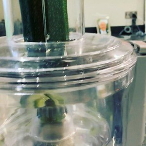 And this is how you spiralise courgette noodles in the Veggie Bullet!! Quick as a flash!! | Dominique Ludwig - Nutritionist MSc.