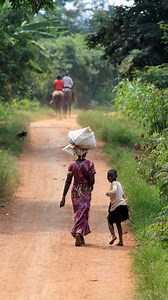 [🇺🇬 DESTINATION OUGANDA] Avis aux amateurs de chevauchées galopantes ! --- 📍 Afrique > Ouganda ⏳ 10 jours (6 à cheval) 🐎 Avancé.e - Ouvert aux non cavaliers Partez à l’aventure en Ouganda, aux sources du Nil, pour une randonnée équestre inoubliable ! Explorez la perle de l’Afrique à travers jungles luxuriantes, baignades dans le fleuve et villages authentiques. Laissez-vous émerveiller par des paysages grandioses et une faune exceptionnelle, pour une expérience rythmée et dépaysante au cœur 