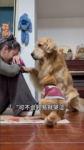 有猫狗的日子 就像被太阳晒干一样 暖暖的 #猫狗双全 #狗狗是生活的解药 #大橘