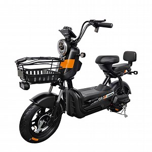 [Hot Item] Motorcycle Scooter Adult for Racing Dirt Bike 1000W Engine Foldable 3 Weels Food Truck Old People Super 2000W Electric Bicycle