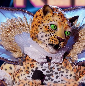 Leopard Mask has cubs?! | The Masked Singer