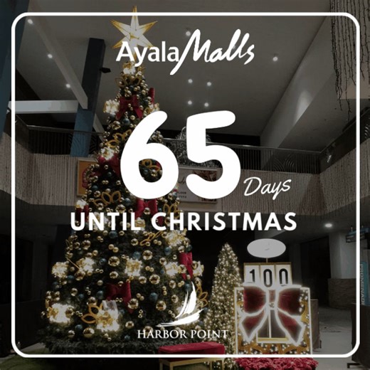 Ayala Malls Harbor Point on Reels