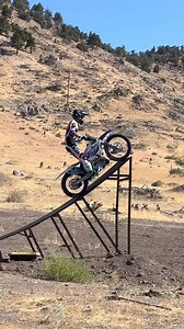 Fly like an eagle 🦅 | Adam Michael Jones