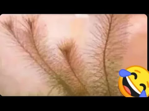 Try Not To Laugh Challenge 😂😁😄 ▶️ episode 6|Instant Regret Fails | Pranks Compilations 2025