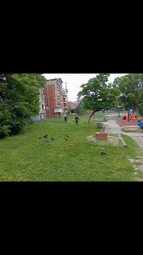 We are working Hard | Alex Dimitrov