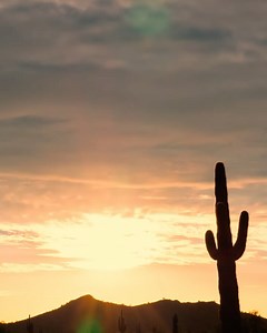 Insomniac Events on Reels