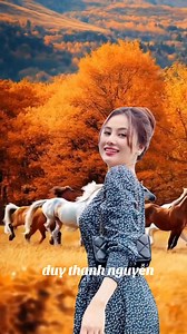 416K views · 4K reactions | Tình khúc bolero | Duy Thanh Nguyen | Facebook