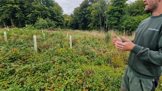 Feuilles qui tombent : l’automne avant l’heure ?