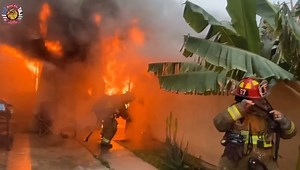 LAFD Battalion 13 companies operating at a house fire. 🔥 #BlueCollarFiremen Full Video 👇 🎥: @socalfireground | Blue Collar Firemen