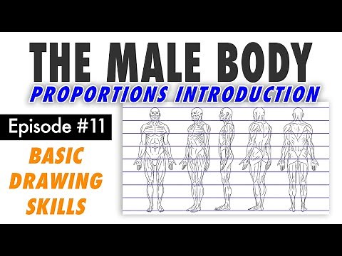 Draw the Male Figure! Basic Proportions Intro – Free Basic Drawing Class #11 (live stream + Q&A)