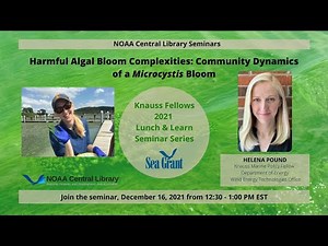 Harmful Algal Bloom Complexities - Community Dynamics of a Microcystis Bloom