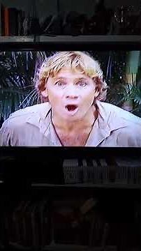 The Wiggles The Crocodile Hunter