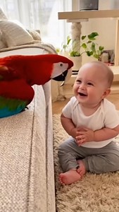 2.1K views · 34K reactions | Cuteness overload baby mode activated | Talking Parrot 列 #talkingparrot #parrotcomedy #funnyparrot #parrot #viralreels | Green Bird Videos | Facebook